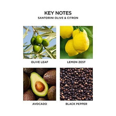 NEST New York Santorini Olive & Citron Scented Classic Candle